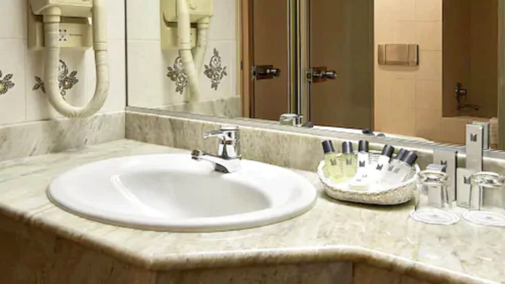 الفندق ميلينيوم باريس شارل ديغول - رواسي أون فرانس